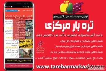 خریداران میوه و تره بار در میدان تره بار تهران شیراز و..